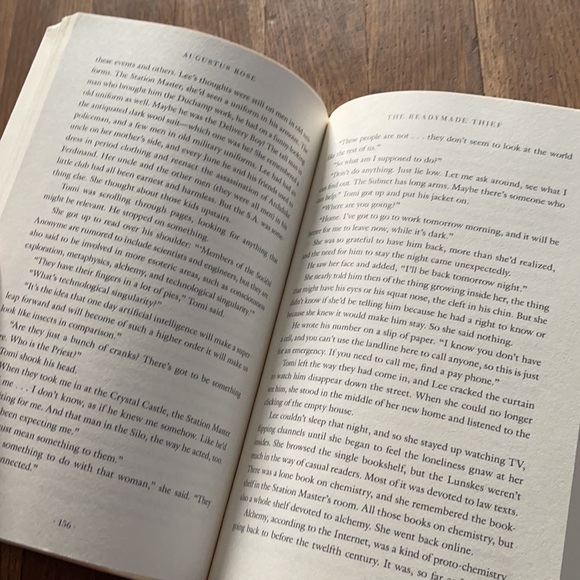 The ready made thief - Picture 3 of 9